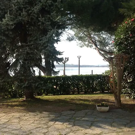 Ghigliotta 비베로네