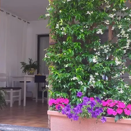 Ghigliotta Apartment Viverone